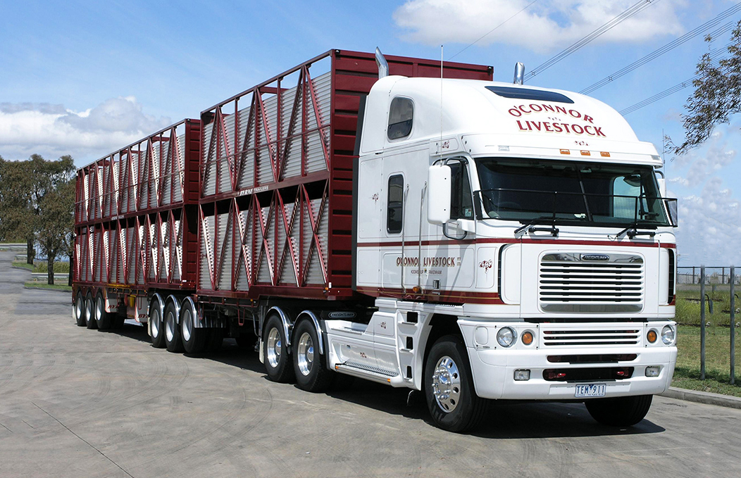 Freghtliner Argosy 6х4/8х6 в составе сочлененных автопоездов